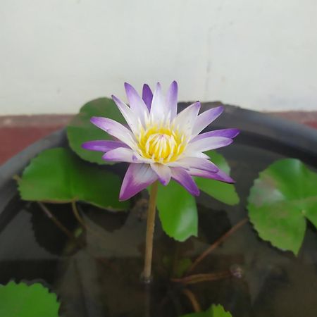 Leisure In 갈레 외부 사진
