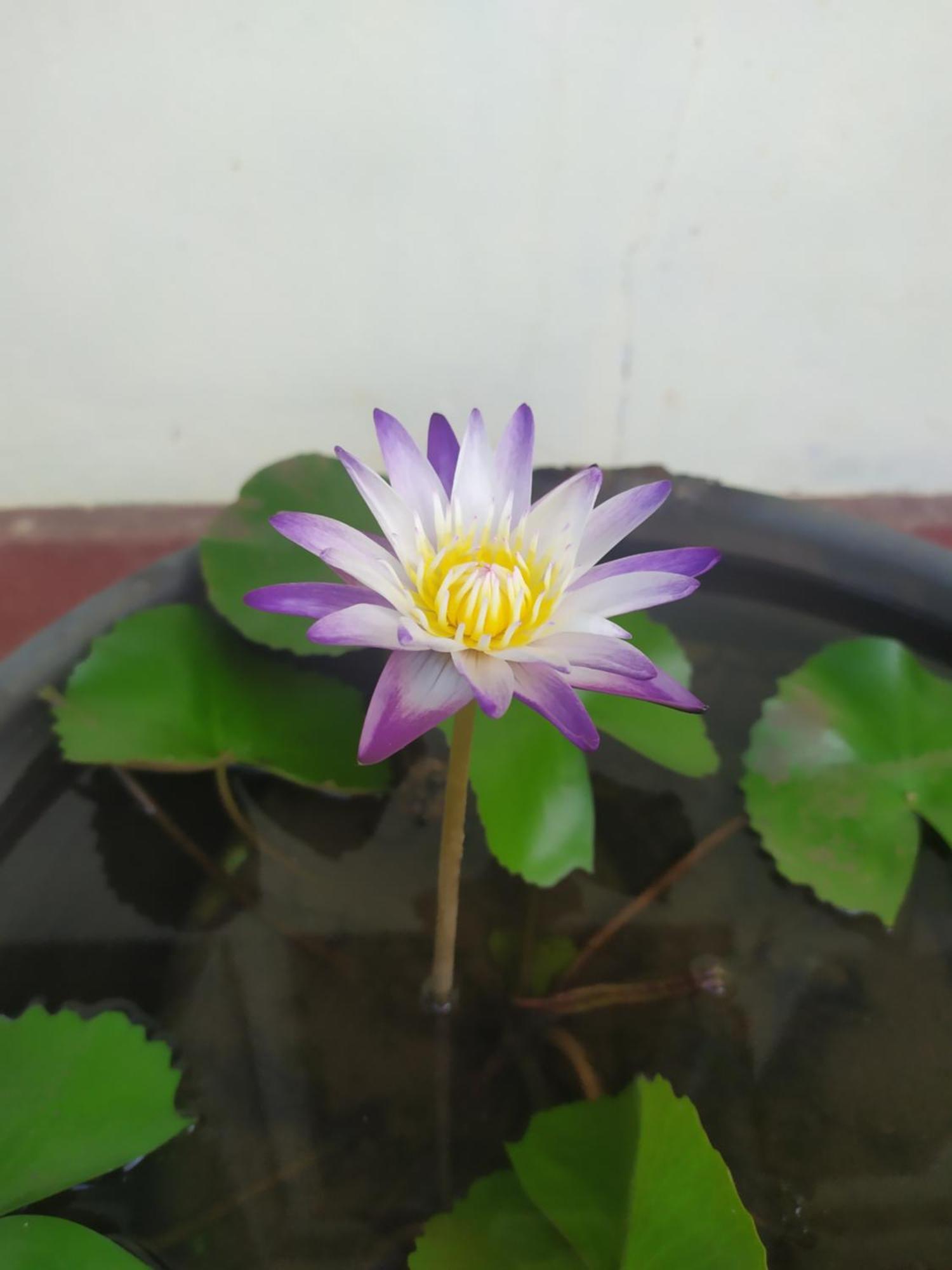 Leisure In 갈레 외부 사진