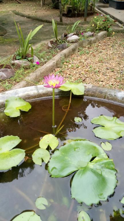 Leisure In 갈레 외부 사진