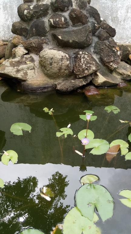 Leisure In 갈레 외부 사진
